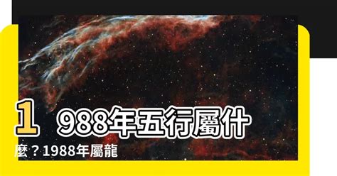 1988年 五行|【1988年五行】1988年五行屬什麼？龍年出生五行缺什麼？